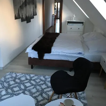 Urocza Przy Wyciagu Arena 아파트