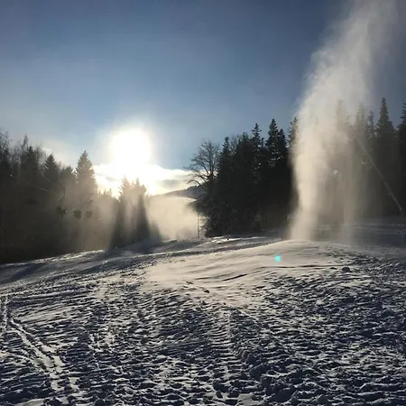 Urocza Przy Wyciagu Arena * 스클라르스카포렘바