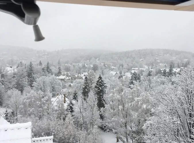 아파트 Urocza Przy Wyciagu Arena *